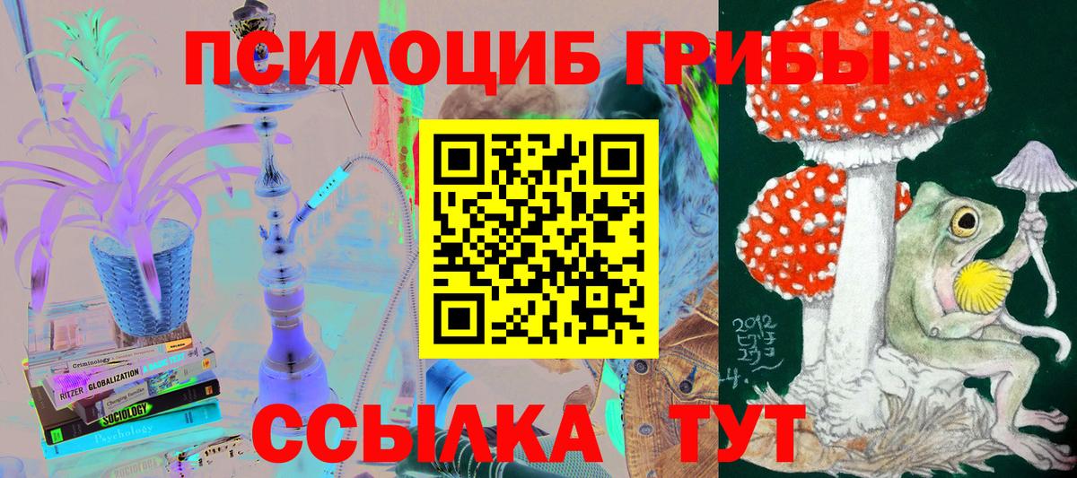 Псилоцибиновые грибы мицелий  Галлюциногенные грибы MAGIC MUSHROOMS  Вход с VPN  Астрахань 
